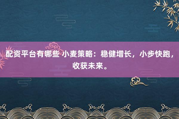 配资平台有哪些 小麦策略：稳健增长，小步快跑，收获未来。