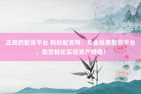 正规的配资平台 蚂蚁配资网：专业股票配资平台，助您轻松实现资产增值！