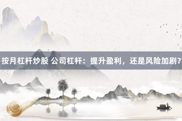 按月杠杆炒股 公司杠杆：提升盈利，还是风险加剧？