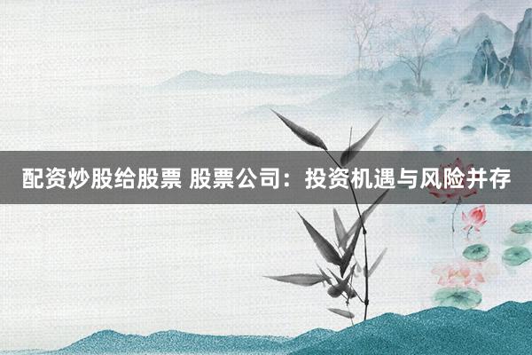 配资炒股给股票 股票公司：投资机遇与风险并存