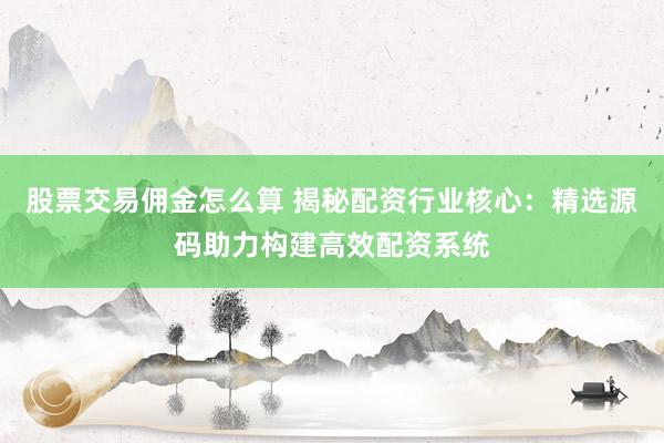 股票交易佣金怎么算 揭秘配资行业核心：精选源码助力构建高效配资系统