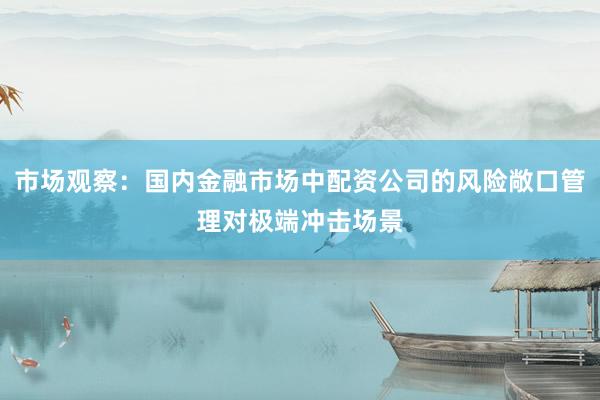 市场观察：国内金融市场中配资公司的风险敞口管理对极端冲击场景
