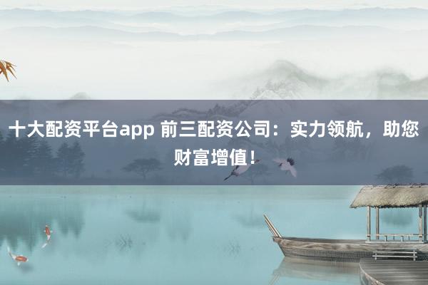 十大配资平台app 前三配资公司：实力领航，助您财富增值！