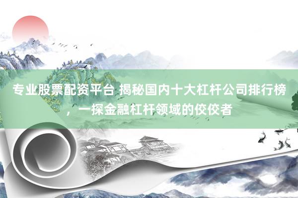 专业股票配资平台 揭秘国内十大杠杆公司排行榜，一探金融杠杆领域的佼佼者